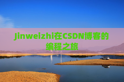 Jinweizhi在CSDN博客的编程之旅